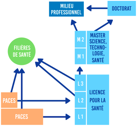 Lettre De Motivation Licence Informatique L1